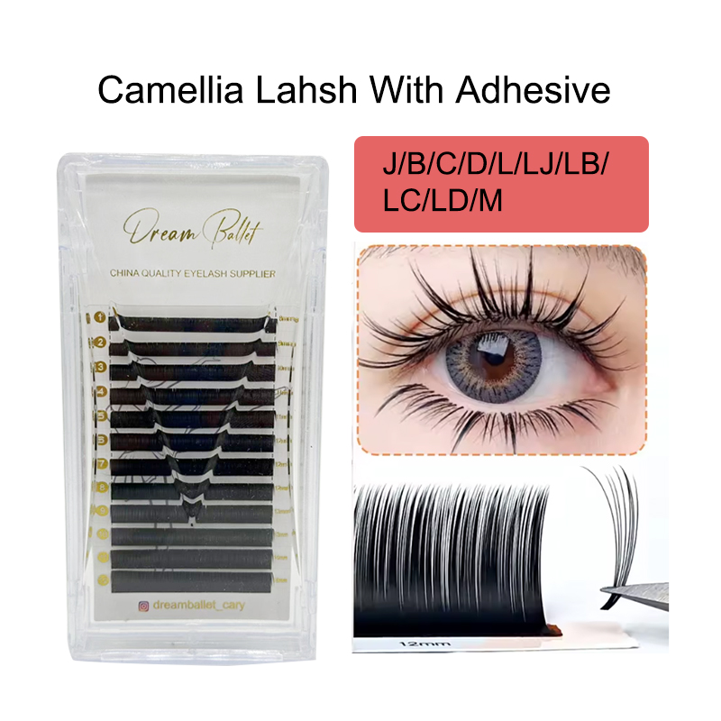 Eyelash Extension Volume Lashes - dream ballet Camellia Lashes with Adhesive
