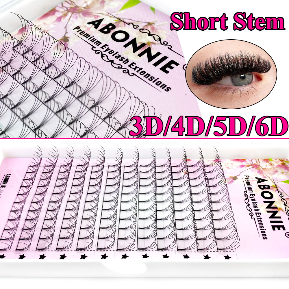 Abonnie 6D Narrow Fan Premade  - Eyelash Extension Russian Volume recension och pris